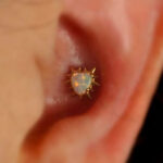 piercing-conch-oreilles-strasbourg Piercing Conch oreilles strasbourg